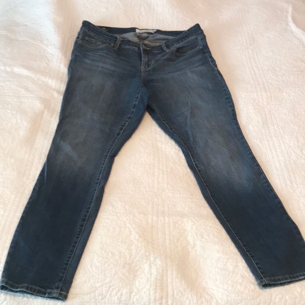 Torrid Skinny Jean